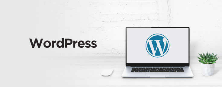 WordPress is a good web development software