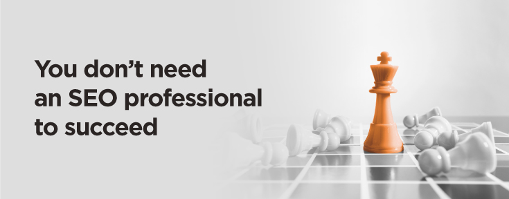 You don't need an SEO professional to succeed is an SEO misconception